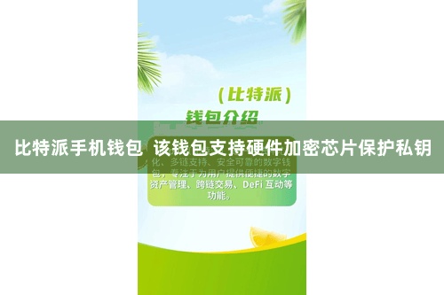 比特派手机钱包 该钱包支持硬件加密芯片保护私钥