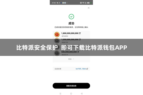 比特派安全保护 即可下载比特派钱包APP