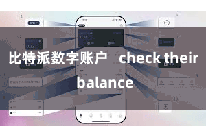 比特派数字账户 check their balance