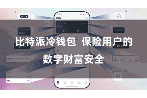 比特派冷钱包 保险用户的数字财富安全