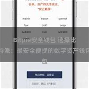 Bitpie安全钱包 选择比特派：最安全便捷的数字资产钱包