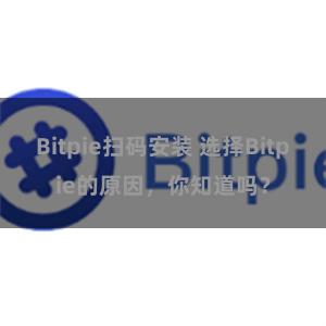 Bitpie扫码安装 选择Bitpie的原因，你知道吗？