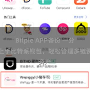 Bitpie APP备份 一分钟上手比特派钱包，轻松管理多链资产