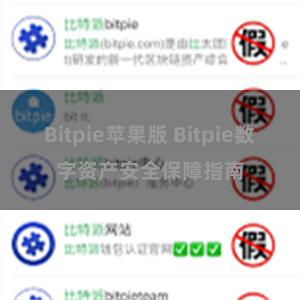 Bitpie苹果版 Bitpie数字资产安全保障指南