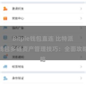 Bitpie钱包直连 比特派钱包多链资产管理技巧：全面攻略