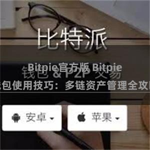 Bitpie官方版 Bitpie钱包使用技巧：多链资产管理全攻略