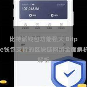 比特派钱包功能强大 Bitpie钱包支持的区块链网络全面解析