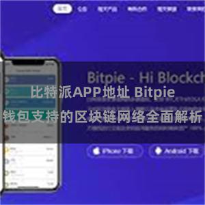 比特派APP地址 Bitpie钱包支持的区块链网络全面解析