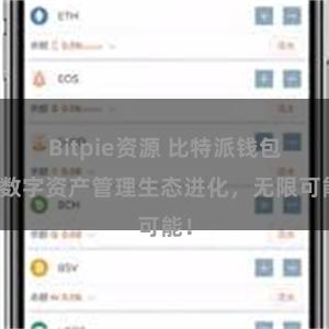 Bitpie资源 比特派钱包：数字资产管理生态进化，无限可能！