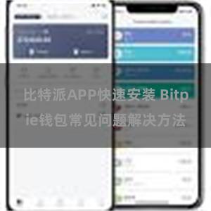 比特派APP快速安装 Bitpie钱包常见问题解决方法