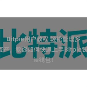 Bitpie用户教程 轻松管理多链资产，教你如何快速上手Bitpie钱包！