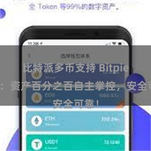 比特派多币支持 Bitpie钱包：资产百分之百自主掌控，安全可靠！