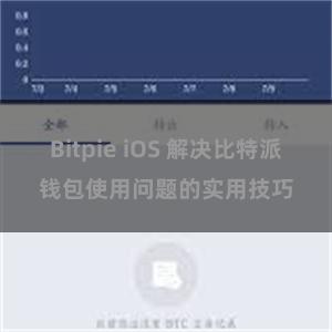 Bitpie iOS 解决比特派钱包使用问题的实用技巧