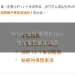 Bitpie支持 解决Bitpie钱包常见使用问题