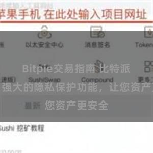 Bitpie交易指南 比特派钱包：强大的隐私保护功能，让您资产更安全