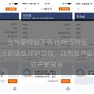 比特派钱包下载 比特派钱包：强大的隐私保护功能，让您资产更安全