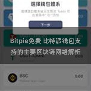 Bitpie免费 比特派钱包支持的主要区块链网络解析