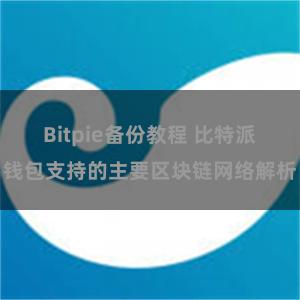 Bitpie备份教程 比特派钱包支持的主要区块链网络解析