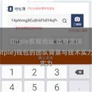 Bitpie教程地址 比特派(Bitpie)钱包的团队背景与技术实力