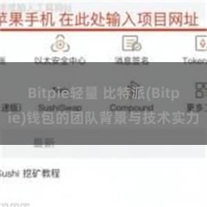 Bitpie轻量 比特派(Bitpie)钱包的团队背景与技术实力