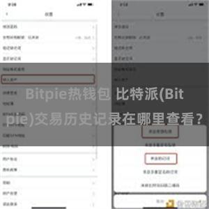 Bitpie热钱包 比特派(Bitpie)交易历史记录在哪里查看？