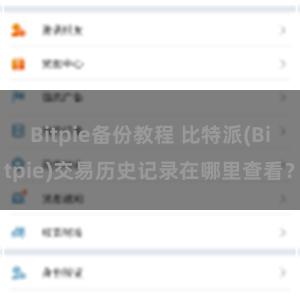 Bitpie备份教程 比特派(Bitpie)交易历史记录在哪里查看？