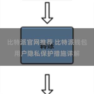 比特派官网推荐 比特派钱包用户隐私保护措施详解