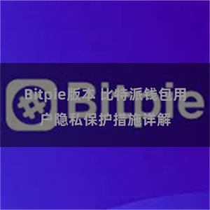 Bitpie版本 比特派钱包用户隐私保护措施详解