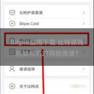 Bitpie应用下载 比特派钱包如何应对网络拥堵？