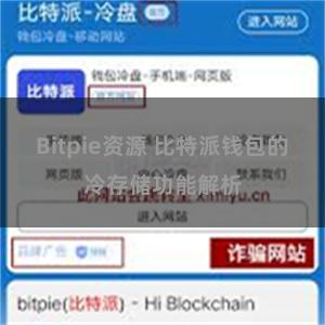 Bitpie资源 比特派钱包的冷存储功能解析