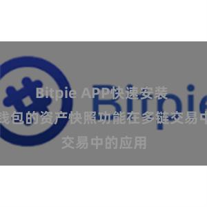 Bitpie APP快速安装 比特派钱包的资产快照功能在多链交易中的应用