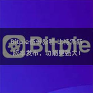 Bitpie备份教程 比特派新版本发布，功能更强大！