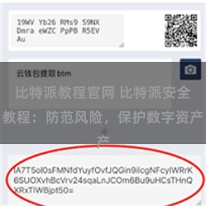 比特派教程官网 比特派安全教程：防范风险，保护数字资产