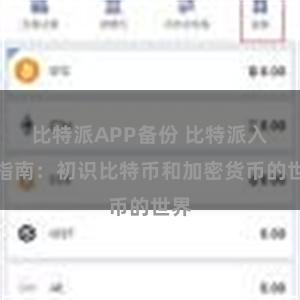 比特派APP备份 比特派入门指南：初识比特币和加密货币的世界
