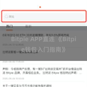 Bitpie APP直连 《Bitpie钱包入门指南》