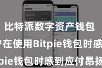 比特派数字资产钱包  让用户在使用Bitpie钱包时感到应付昂扬