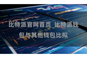 比特派官网首页  比特派钱包与其他钱包比拟