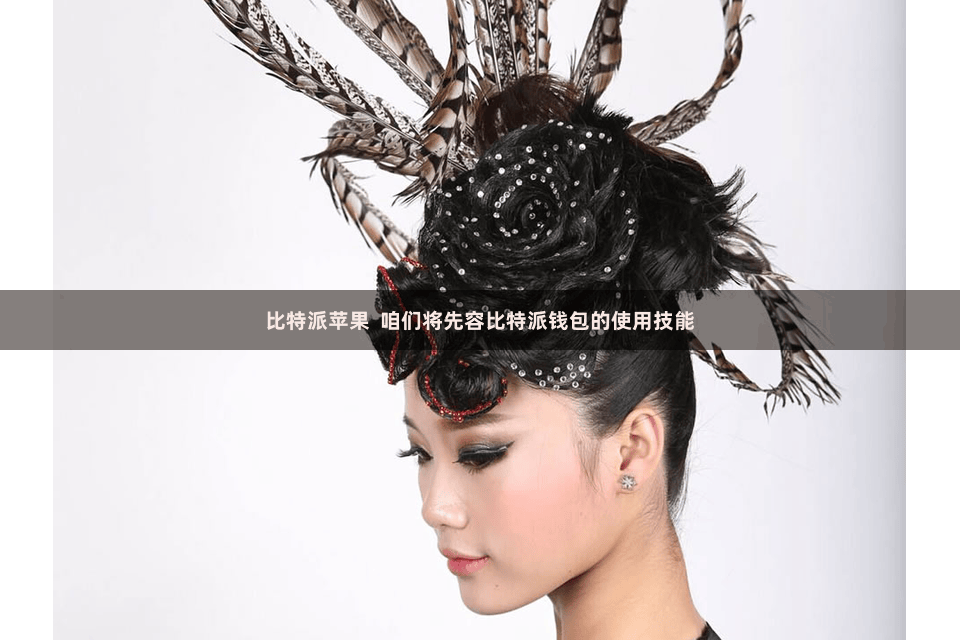 比特派苹果  咱们将先容比特派钱包的使用技能