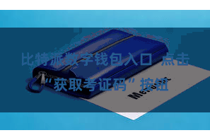 比特派数字钱包入口  点击“获取考证码”按钮