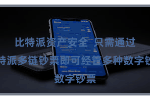 比特派资产安全  只需通过比特派多链钞票即可经管多种数字钞票