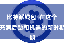 比特派钱包  在这个充满后劲和机遇的新时期