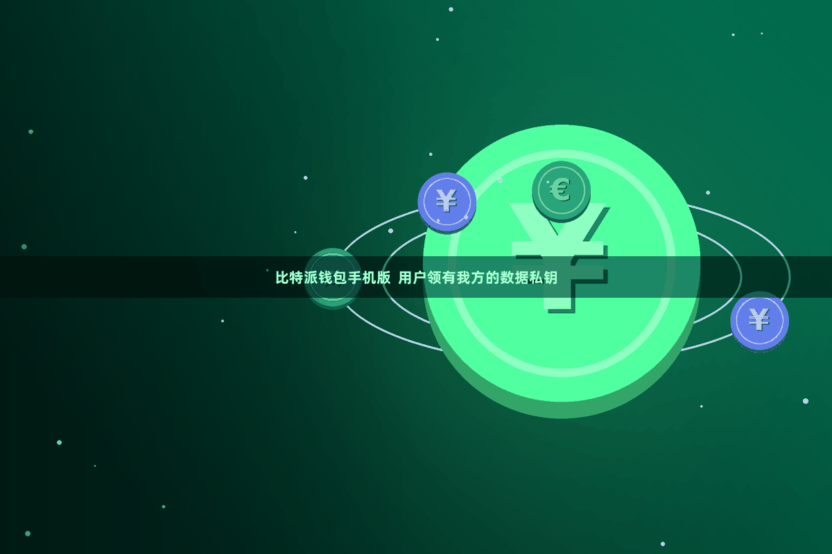 比特派钱包手机版  用户领有我方的数据私钥